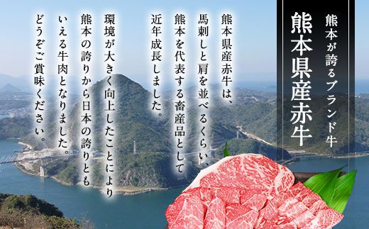【3ヶ月定期便】肥後のあか牛 ハンバーグ 1.5kg（150g×10個）