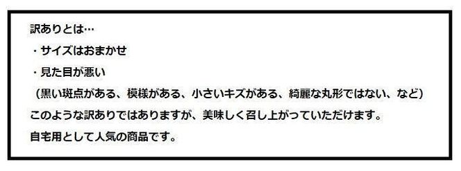 有田みかん 訳あり品10kg 平武農園 農家直送 BX53