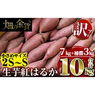 a732 《訳あり》畑の金貨・生芋紅はるか7kgと補償3kg 合計10kg(小さ目サイズ)【甘いも販売所】姶良市 芋 いも さつまいも 紅はるか べにはるか 熟成