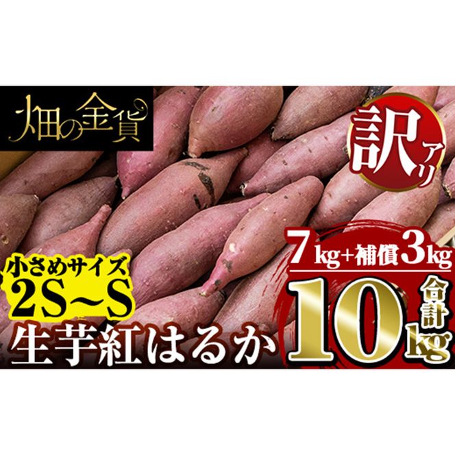 a732 《訳あり》畑の金貨・生芋紅はるか7kgと補償3kg 合計10kg(小さ目サイズ)【甘いも販売所】姶良市 芋 いも さつまいも 紅はるか べにはるか 熟成