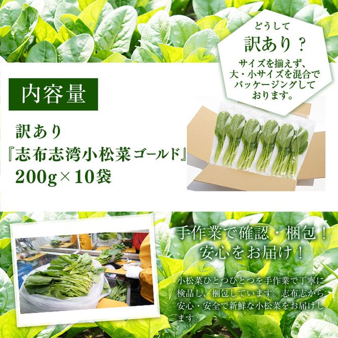 【期間限定・訳あり】志布志湾小松菜ゴールド(計2kg 200g×10袋) a1-021