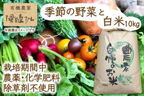 【季節により常温11~3・冷蔵4~10】有機農家の季節の野菜と白米10kgのセット / 風の丘ファーム / 埼玉県 小川町 [020] 野菜 やさい 米 お米 こめ コメ 精米 白米 セット 詰め合わせ