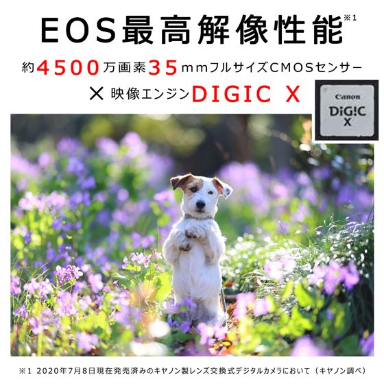 【Canon】 キヤノン ミラーレス カメラ EOS R5 ボディー キャノン 一眼 家電_0005C