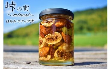 ナッツ・ドライフルーツの蜂蜜漬【峠の実】　熊野古道　峠の蜂蜜×ナッツ・ドライフルーツ　XJ003