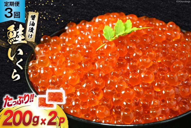 y{錧Csz s3A͂t  ݖЂ (200g×2p)×3 [{铌m {錧 Cs 20564501]  CN  TP  Ⓚ  ݖ  