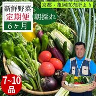 野菜 定期便 直送 6回 朝採れ 7～10品目 京都丹波 亀岡 佐伯の里 訳あり生活応援 家計応援 ※北海道・沖縄・離島への配送不可