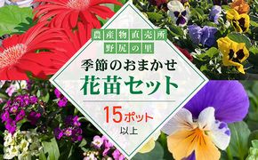 季節のおまかせ花苗セット【15ポット以上】  ANAR011