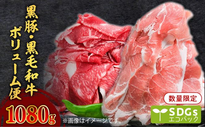 yszy1080gz؁Eјa{[ց@g[SDGs@K086-022