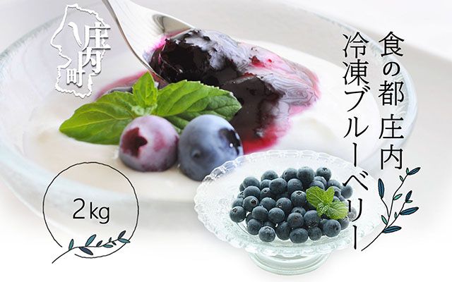 食の都庄内 冷凍ブルーベリー2kg（2024年秋収穫後 順次発送）（山形県東田川郡庄内町） | ふるさと納税サイト「ふるさとプレミアム」