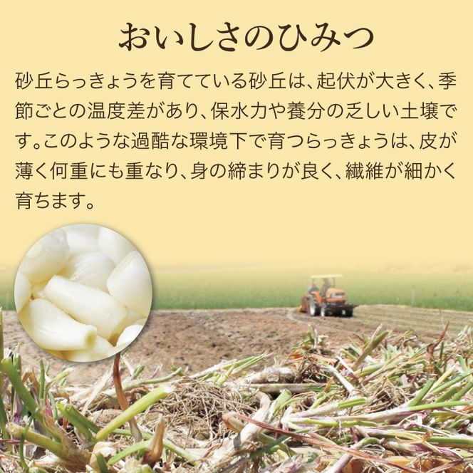 0414 特別栽培らっきょうの甘酢漬(5袋セット)