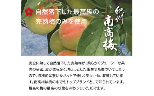 はちみつ梅干し500g 紀州南高梅うめぼし和歌山産(化粧箱入)【ntbt261