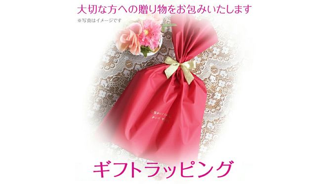 【ギフト対応可】超音波 美顔器 【 NEW 美ルル クラッシィ 】  フォーメン ブラック 超音波美顔器 イオン導入 イオン導出 美容 美顔器 超音波 イオン 振動 エステ 美容家電 自宅エステ 自宅ケア ［DD20-NT］