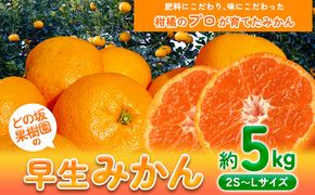 早生 みかん 約 5kg (2S～Lサイズ) どの坂果樹園《12月上旬-1月末頃出荷》 和歌山県 日高町 みかん 早生 旬 柑橘 フルーツ 果物 蜜柑 ミカン 先行予約--- wsh_dsk9_ac121_24_10000_5kg---