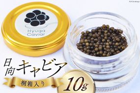 キャビア 日向キャビア (Hyuga Caviar) 10g 桐箱入り [ウィズ・クリエイティブ 宮崎県 日向市 452060890] 冷凍 宮崎 国産 チョウザメ フレッシュ 瓶