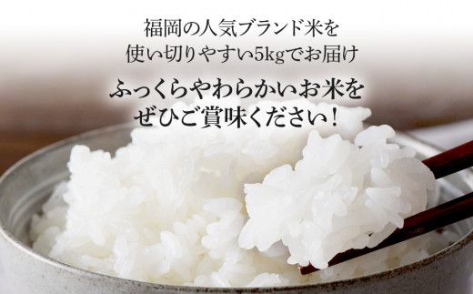 令和7年産　福岡県産ブランド米「夢つくし」白米　5kg【8月下旬頃より順次出荷予定】