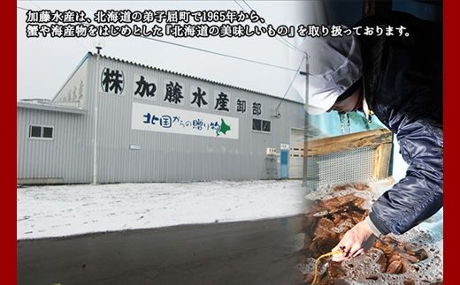 2946. 山わさび醤油漬け 100g 3瓶 薬味 辛味 調味料 ワサビ 山葵 手づくり ホースラディッシュ おかず ご飯のお供 お取り寄せ グルメ gift ギフト 送料無料 北海道 弟子屈町