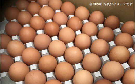 【B3-013】「畠中育雛場のたまご」卵いろいろ食べ比べセット
