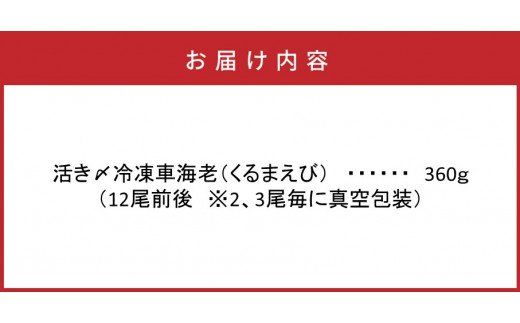 鮮度抜群！活き〆冷凍車海老（360g）_29100A
