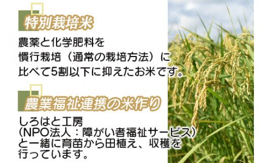 ＜令和5年度 特別栽培米「粋」コシヒカリ 5kg（3か月定期便）＞ ※翌月下旬に第一回目を発送(12月は中旬)【c942_kh_x4】