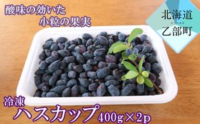 ＜山科農園　冷凍ハスカップ（400ｇ×2）＞手作業で収穫　摘み立てハスカップ