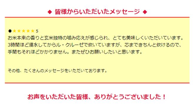 【 先行予約 】令和6年産 ＜ 定期便 ＞ 玄米10kg×6回(隔月) 三百年 続く農家 の 有機特別栽培米 コシヒカリ 有機栽培 農創 米 こめ コメ ごはん ご飯 国産 茨城県産 おいしい 新生活 プレゼント 新生活応援 必要なもの 便利 おすすめ 消耗品 一人暮らし 二人暮らし 必要 [AC43-NT]