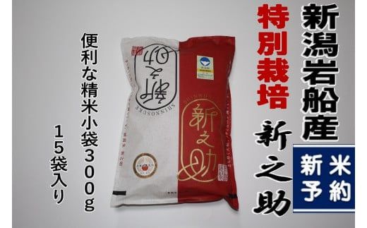【新米受付・令和8年産米】新潟県村上市岩船産 真空パック 新之助 4.5kg（300g×15袋） NA4231｜米 特別栽培米 白米 小分け 便利 計量不要 低温倉庫保管