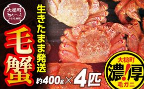 【令和7年発送】三陸産！活毛ガニセット 400g×4杯【2025年2月〜4月発送】【配送日指定不可】 【0tsuchi01011】【08】