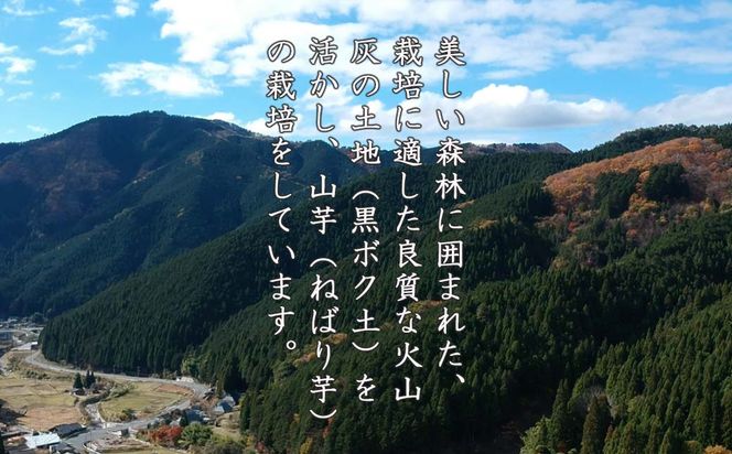 山芋(長芋) 2kg 西粟倉特産【数量限定】 c-FI-A02A