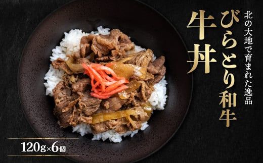 びらとり和牛牛丼120ｇ6個 ふるさと納税 人気 おすすめ ランキング 和牛 肉 牛丼 北海道 平取町 送料無料 BRTB033