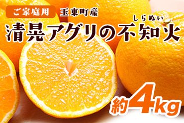 『清晃アグリ』のご家庭用不知火(しらぬい)約4kg(L-4Lサイズ)10玉-16玉前後《2月上旬-3月下旬頃出荷》予約受付中 フルーツ 旬★デコポンと同品種★熊本県玉名郡玉東町『清晃アグリ』不知火 ちょこっと訳あり---sg_waguridek_ak2_24_8500_4kg---