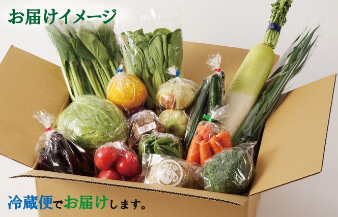 010B507 【スピード発送】旬の野菜セット 15種類【国産 新鮮