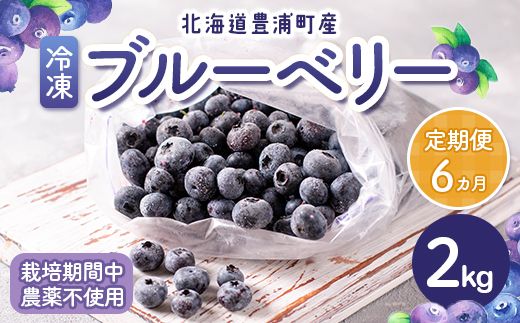 朝摘み冷凍ブルーベリー6kg入り ☆完熟冷凍ブルーベリー6kg 完熟