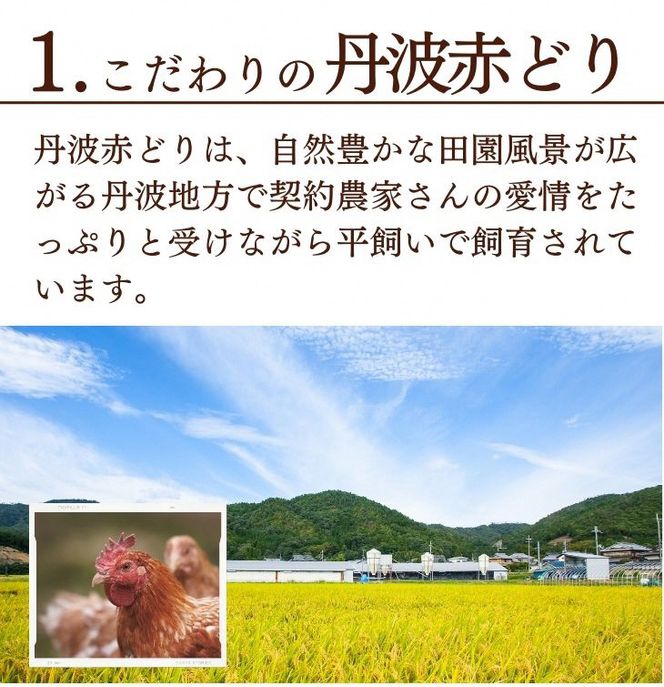 訳あり 丹波 赤どり ササミ 300g×20パック 総量6kg＜京都亀岡丹波山本＞｜緊急支援 特別返礼品 ふるさと納税 鶏肉 業務用 不揃い 小分けリーフレット付