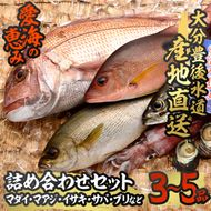 天然 鮮魚詰め合わせ (合計約2.8-3.2kg・3種以上) 直送 産直 漁師 魚 鮮魚 天然 マダイ 鯛 マアジ 鯵 イサキ サバ 鯖 ブリ 鰤 獲れたて 刺身 煮つけ 塩焼き 冷蔵 豊後水道 鮮魚【CS01】【 (有)丸昌水産】