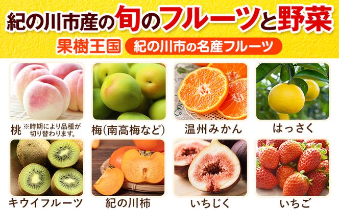 【6ヶ月定期便】紀の川市の恵み 旬のフルーツ＆野菜セット 計8~10品《お申込み月翌月から出荷開始》和歌山県 紀の川市 フルーツ 果物 野菜 セット 桃 梅 みかん 新玉ねぎ なす トマト キャベツ---wfn_cvgs1tei_23_60000_mo6num1---