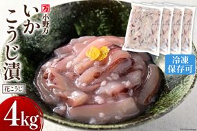 いかこうじ漬（花こうじ） 4kg (1kg×4p) 冷凍 [小野万 宮城県 気仙沼市 20564602] 魚 魚介類 いか イカ 冷蔵 酒の肴 おつまみ ご飯のお供 珍味 麹漬け こうじ漬け