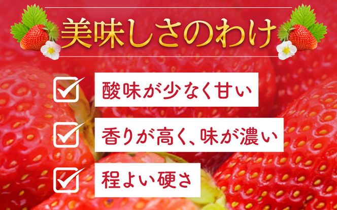 【2025年1月〜発送】いちご ゆめのか 250g × 4パック / イチゴ 苺 果物 フルーツ / 南島原市 / JA島原雲仙東南部基幹センター [SAC008]