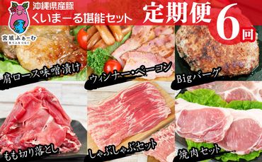 【定期便6回コース】沖縄県産豚　くいまーる堪能セット