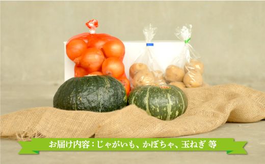 《令和8年分》数量限定！季節のお野菜詰め合わせ 秋(配送時期：9月～10月)【01018】
