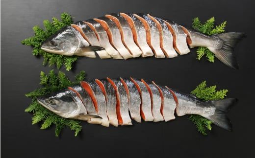 紅鮭・時鮭 食べ比べ贅沢セット ( 海鮮 魚介類 鮭 サケ しゃけ 時鮭 紅鮭 サーモン セット 小分け 贈答 贅沢 贈り物 ギフト お中元 お歳暮 お祝い )【094-0026】