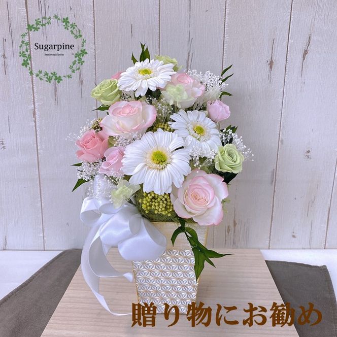 yʌtszAJ089-2 vU[uht[AWy؁zts VK[pC