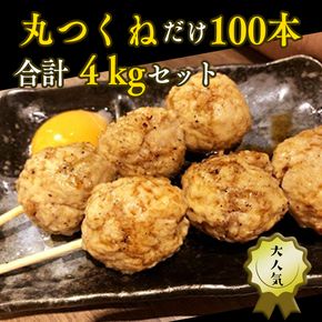 1本40g！合計約4000g！大人気の丸つくね串たっぷり100本セット（丸つくね串約40g×100本） [AI14-NT]