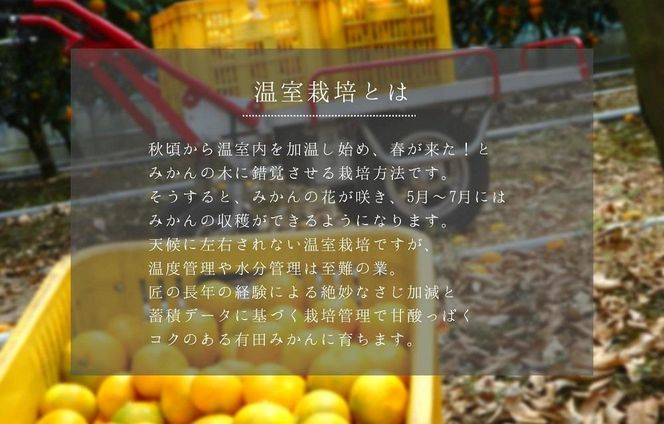 夏の有田みかん (約1kg) と有田のみかんジュース（500ml×2本）和歌山県産 産地直送 	AX156