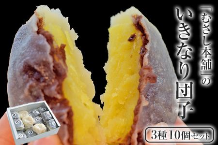 むさし本舗のいきなり団子 10個入り(黒粒4個、黒こし3個、白あん3個) 熊本県長洲町 《60日以内に出荷予定(土日祝除く)》---sn_fmusasidango_60d_r7_7500_10p---