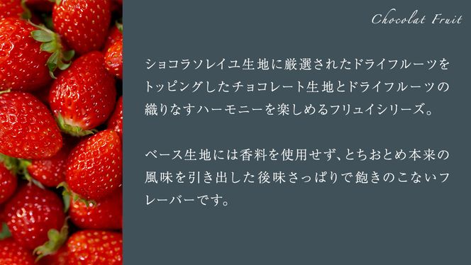 ショコラフリュイ とちおとめ 12枚 チョコレート チョコ スイーツ デザート 高級 ギフト 贈り物 お礼 プレゼント 手土産 お菓子 [DJ49-NT]