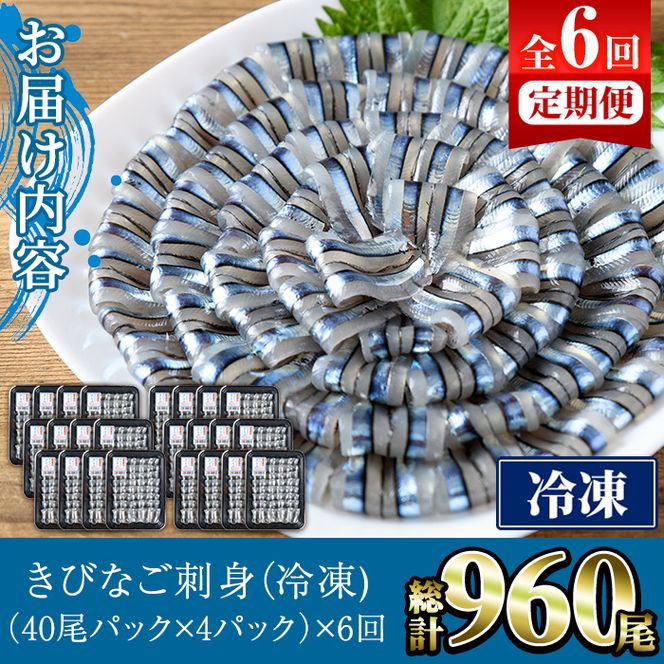 ＜定期便・全6回(冷凍便)＞鹿児島県産！阿久根のきびなごお刺身セット(計960尾・40尾×4P×6回)冷凍 魚介類 海鮮 魚 きびなご キビナゴ 刺身 さしみ 刺し身 青魚 子魚 小分け【椎木水産】akn054-15