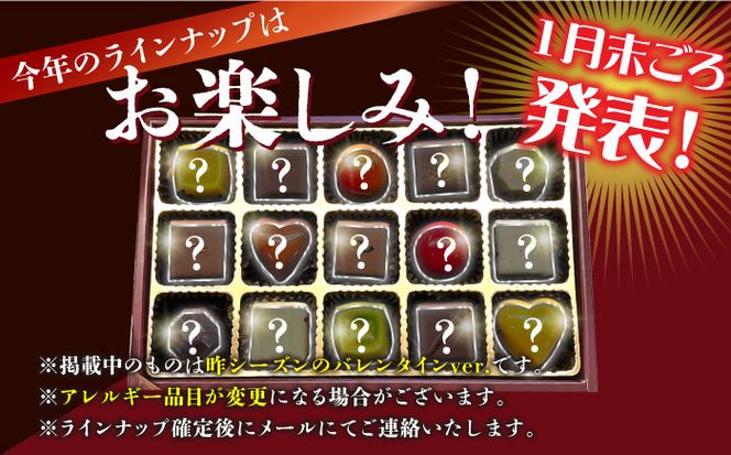 【2025年2月〜発送】ボンボンショコラ 15個入り / チョコ チョコレート お菓子 バレンタイン / 南島原市 / 本田屋かすてら本舗 [SAW033]