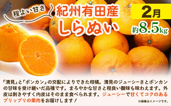 【発送月固定定期便】紀州 和歌山産 旬の ご家庭用 柑橘 セット (みかん 不知火 清見)【全３回】 魚鶴商店《1月上旬-3月末頃出荷予定(土日祝除く)》 和歌山県 日高町 みかん 不知火 清見 オレンジ 柑橘 蜜柑 果物 フルーツ 訳あり ギフト 送料無料 定期便---wsh_uot123tei_23_47000_mo3num1---