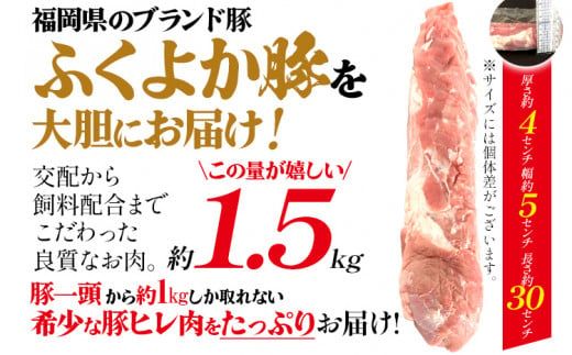 ふくよか豚ヒレブロック約1.5kg 豚ヒレブロック 約1.5kg(約500g×3) 豚ヒレブロック肉 豚ヒレ ヒレ ブロック 希少 ふくよか豚 ヒレステーキ ヒレカツ とんかつ フィレ 焼き肉 豚肉 ブタ肉 肉 真空パック 冷蔵