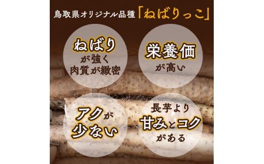 北栄町特産「ねばりっこ」とろろ（50g×25パック） ※着日指定不可 ※離島への配送不可